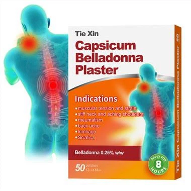 রিউম্যাটিজম ব্যথা প্লাস্টার ট্রান্সডার্মাল প্যাচ